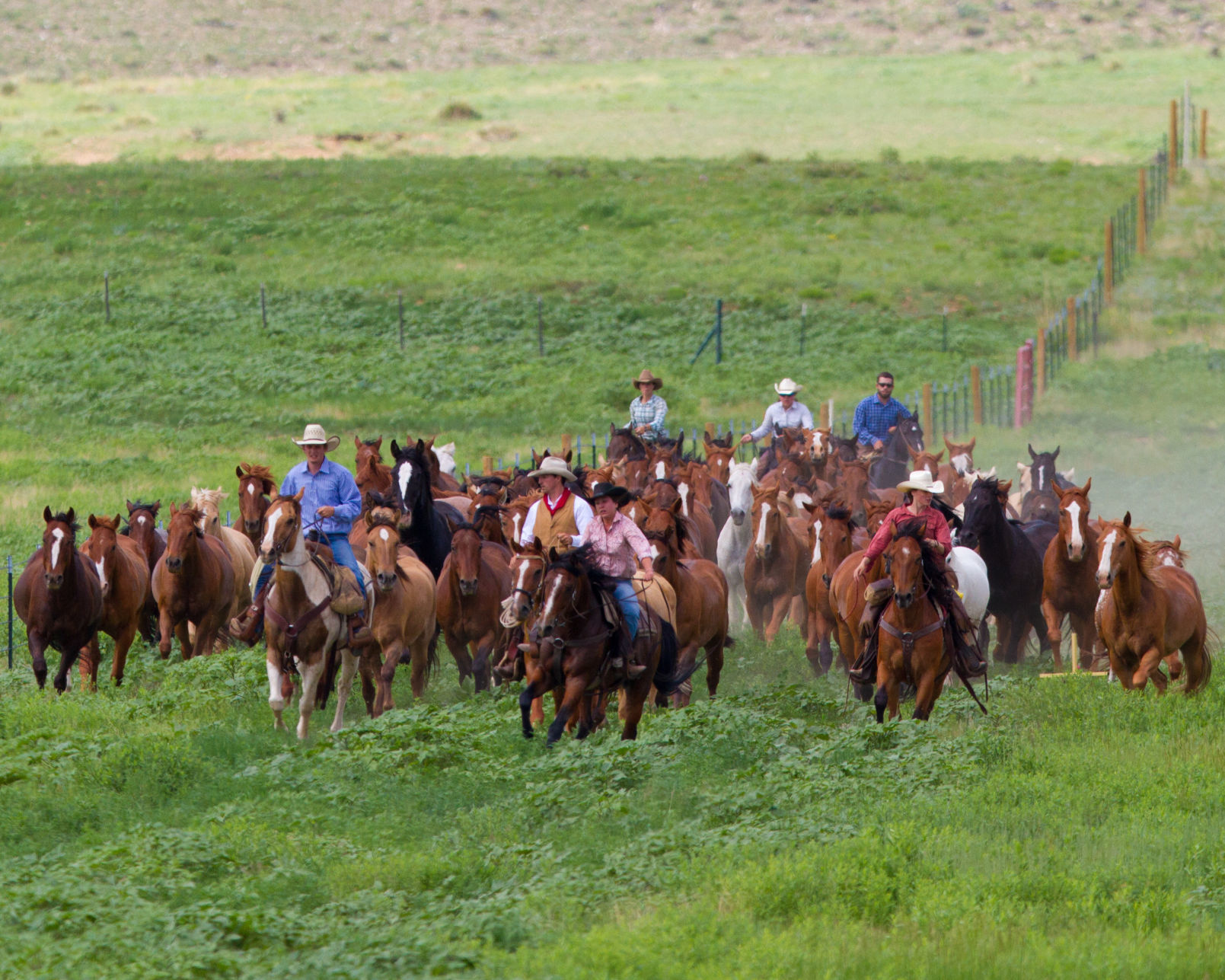 Philmont